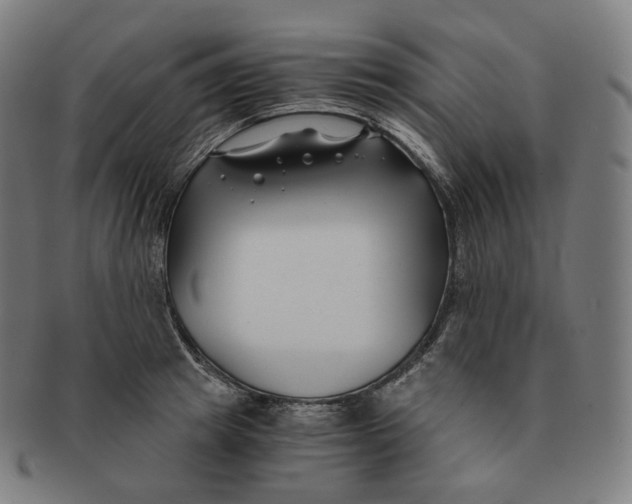 X0000091300849200708241049