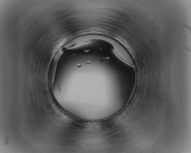 X0000091300850200708241049