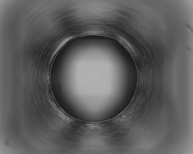 X0000091300852200708241049