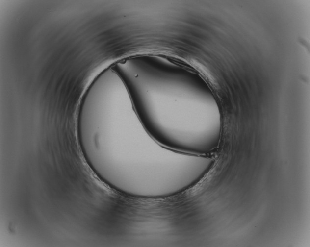 X0000091300854200708241049