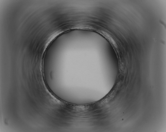 X0000091300855200708241049