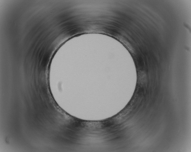 X0000091300856200708241049