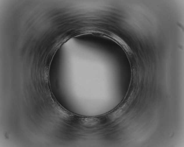 X0000091300857200708241049