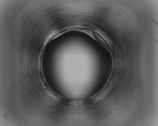 X0000091300858200708241049