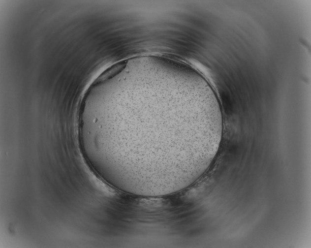 X0000091300859200708241049