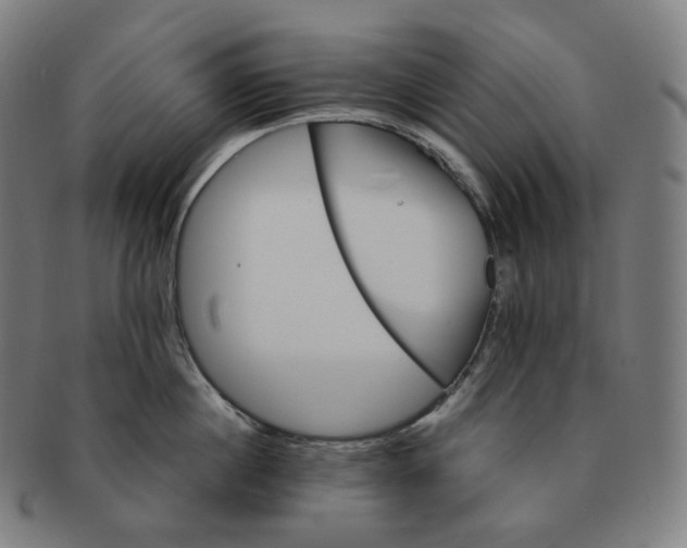 X0000091300860200708241049