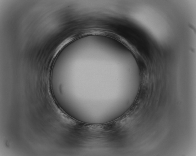 X0000091300861200708241049