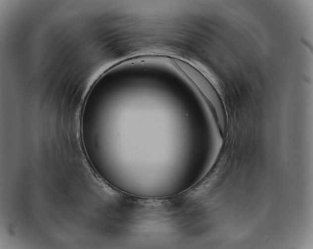 X0000091300862200708241049