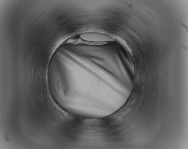 X0000091300863200708241049