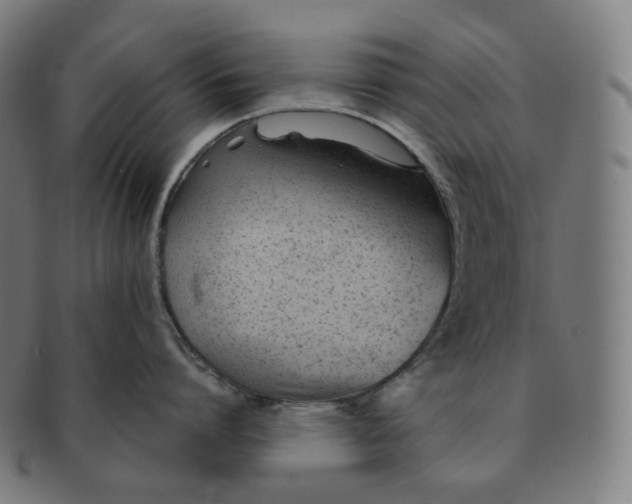 X0000091300864200708241049