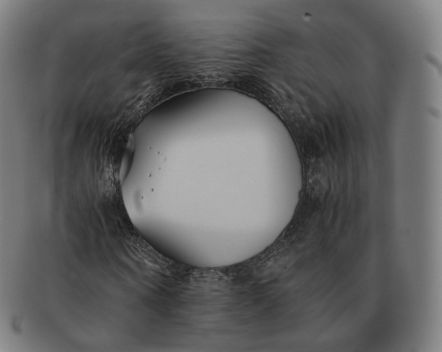 X0000091300866200708241049