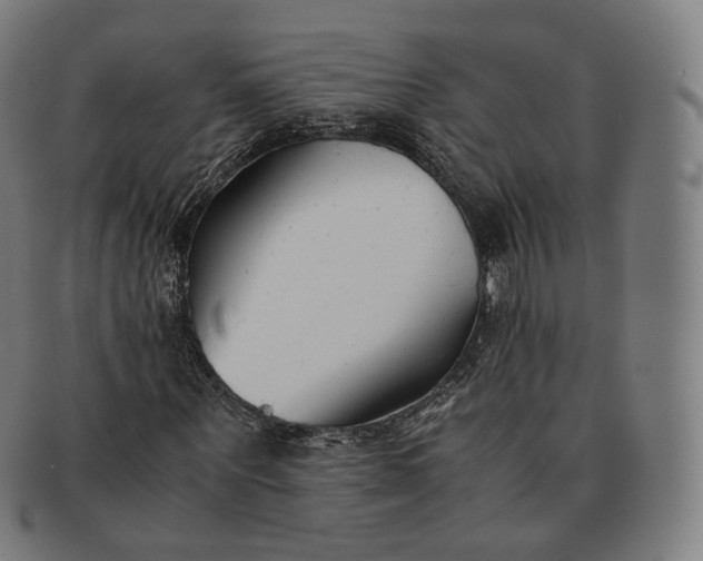 X0000091300867200708241049