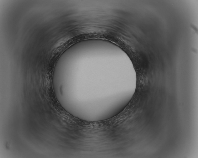 X0000091300869200708241049