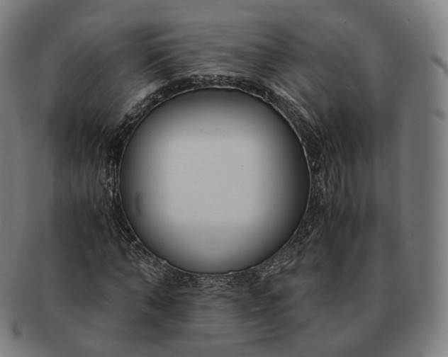 X0000091300870200708241049