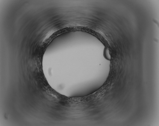 X0000091300871200708241049