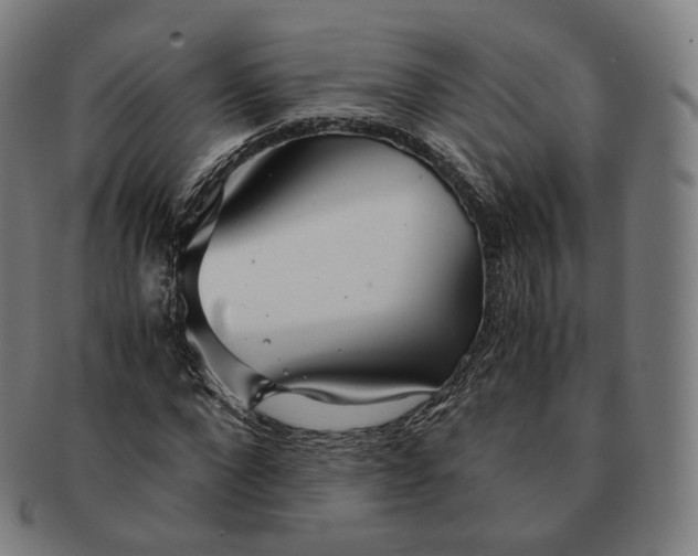 X0000091300872200708241049