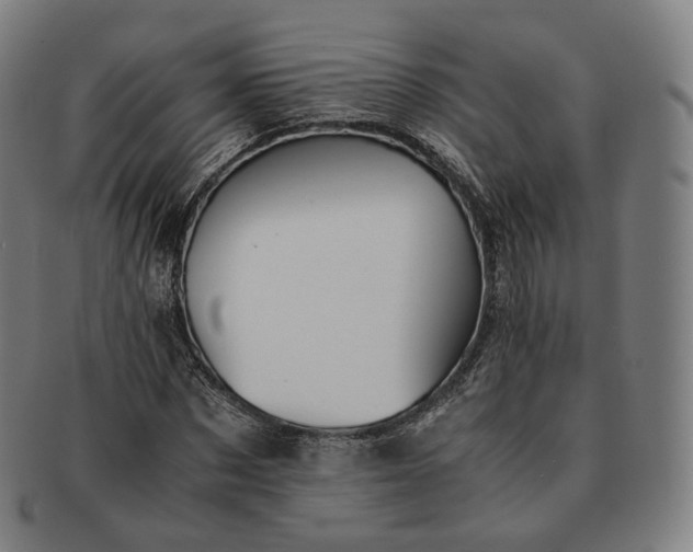 X0000091300873200708241049