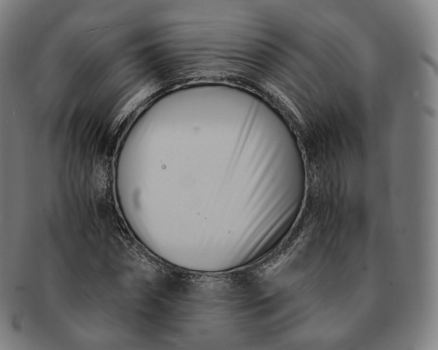 X0000091300874200708241049