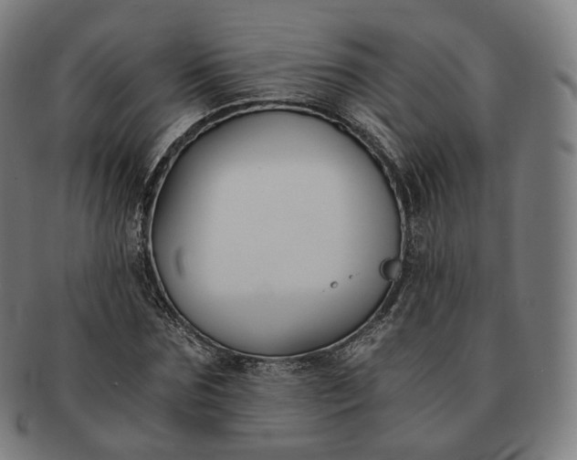 X0000091300875200708241049