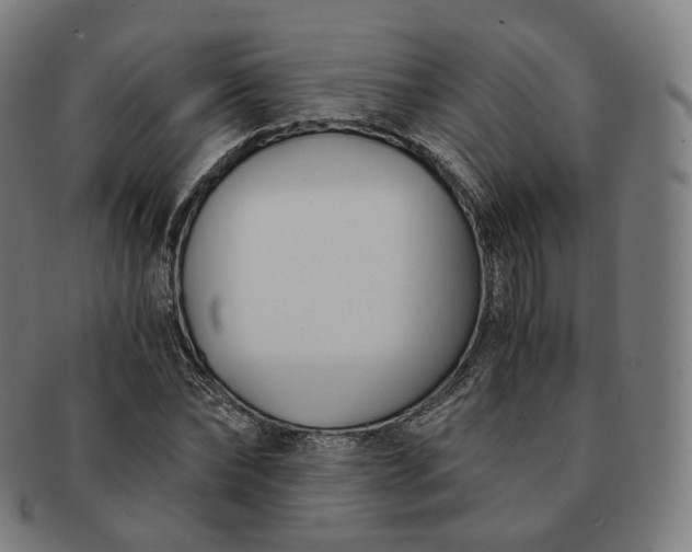 X0000091300878200708241049