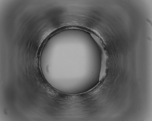 X0000091300879200708241049