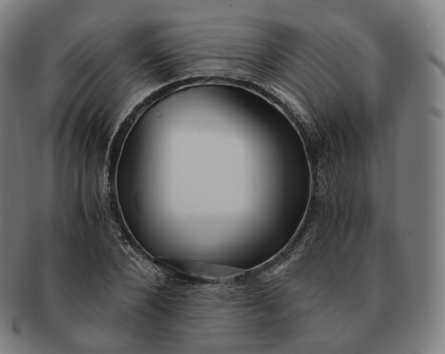 X0000091300880200708241049