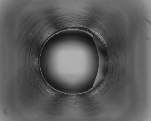 X0000091300881200708241049