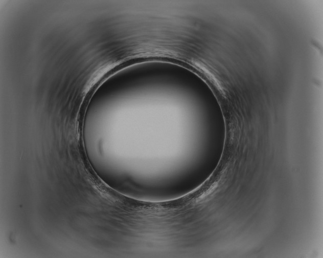 X0000091300885200708241048