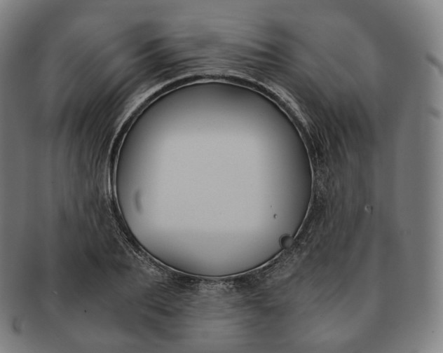 X0000091300887200708241048