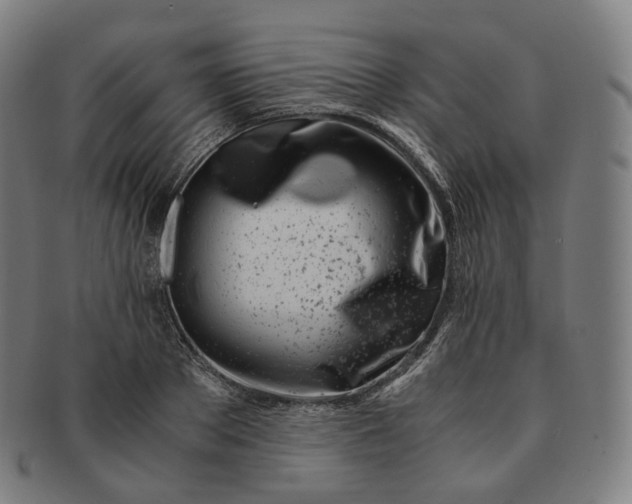 X0000091300889200708241048