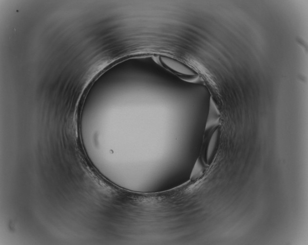 X0000091300892200708241048