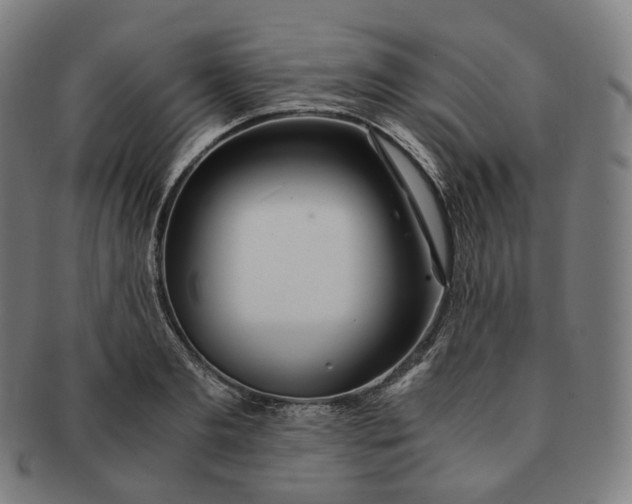 X0000091300893200708241048