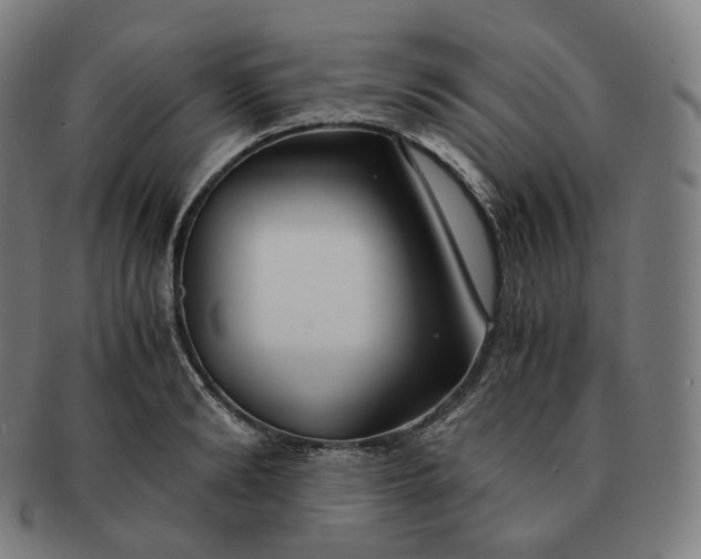 X0000091300894200708241048