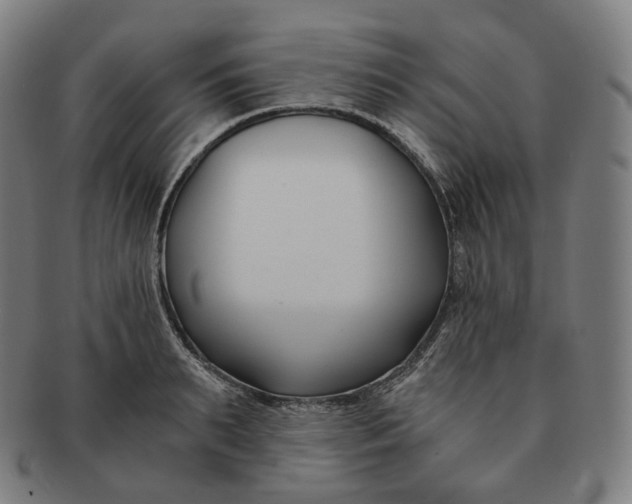 X0000091300895200708241048