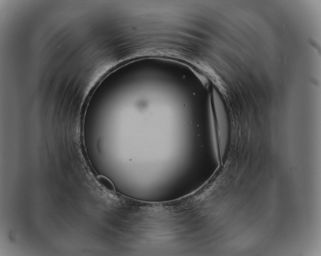 X0000091300896200708241048