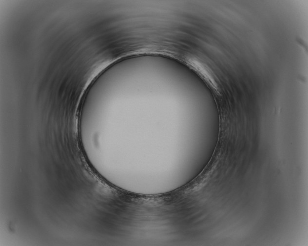 X0000091300900200708241048