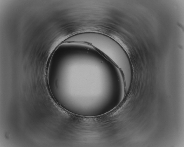 X0000091300901200708241048