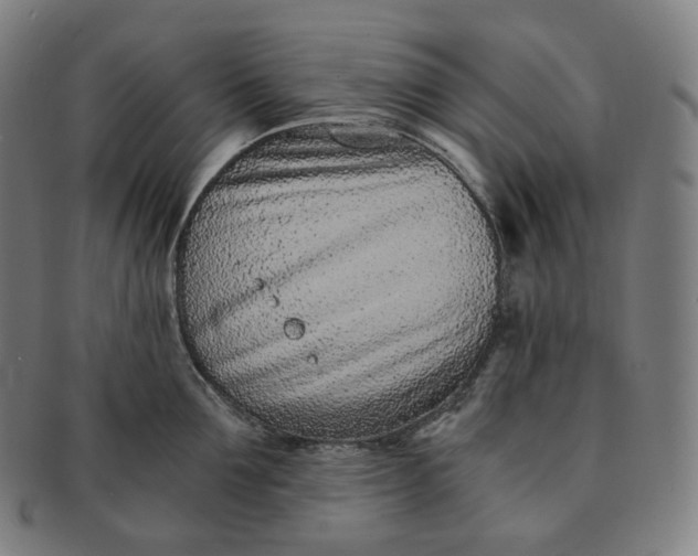 X0000091300907200708241048