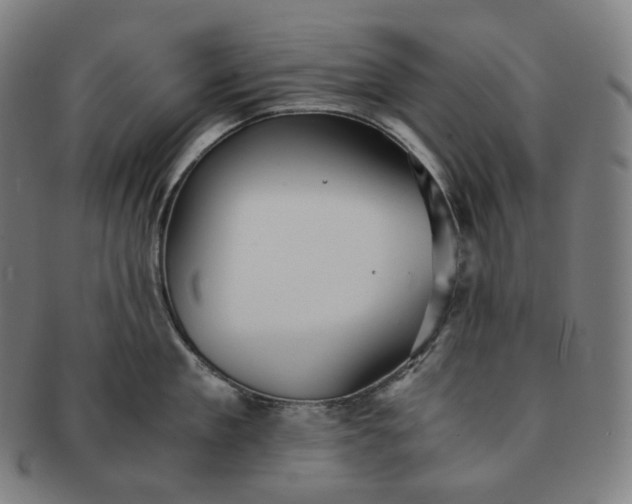 X0000091300909200708241048