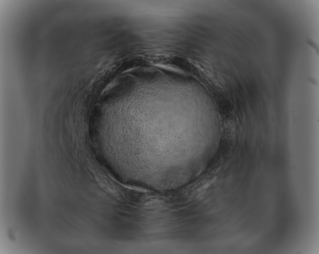 X0000091300913200708241047