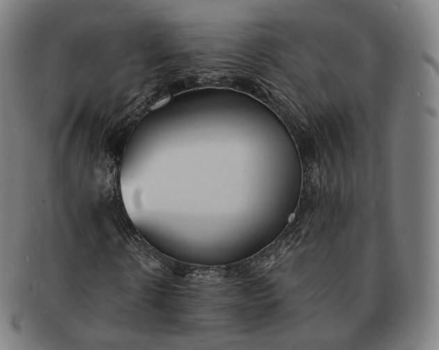 X0000091300914200708241047