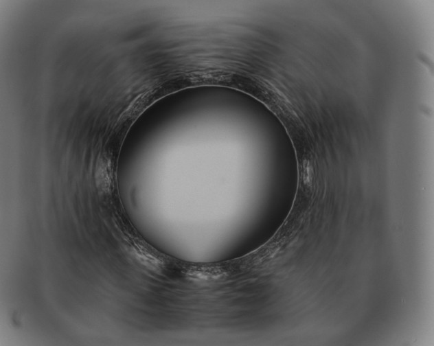 X0000091300915200708241047