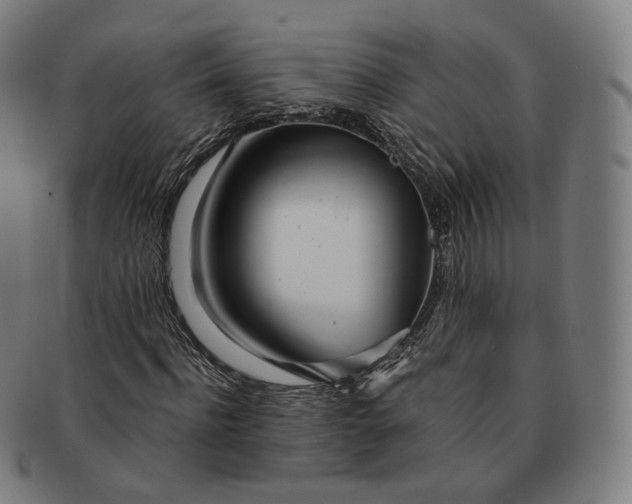 X0000091300916200708241047