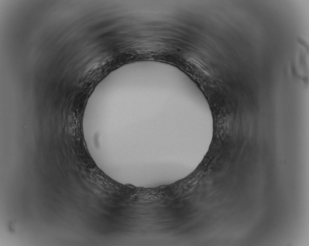 X0000091300917200708241047