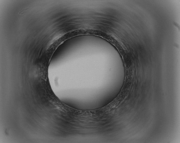 X0000091300919200708241047