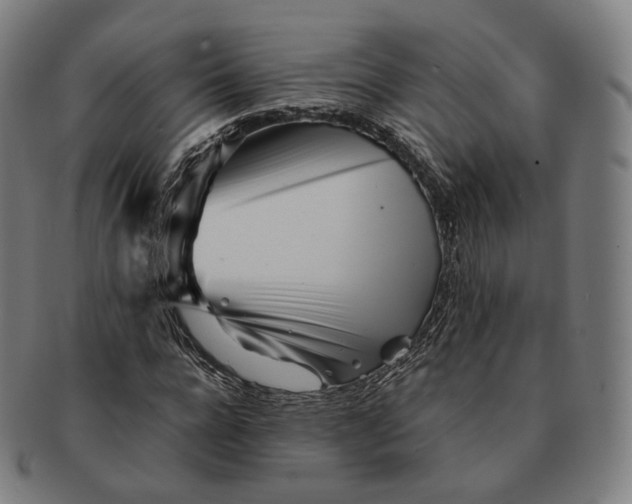 X0000091300920200708241047