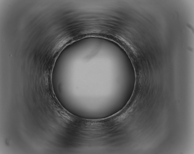 X0000091300921200708241047