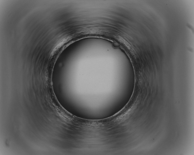 X0000091300922200708241047