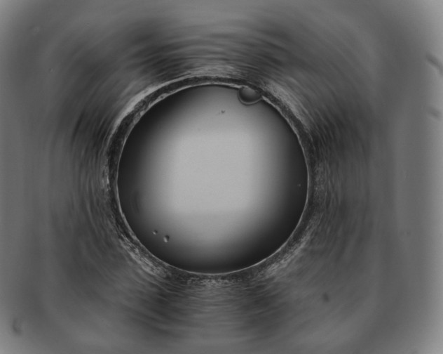 X0000091300923200708241047