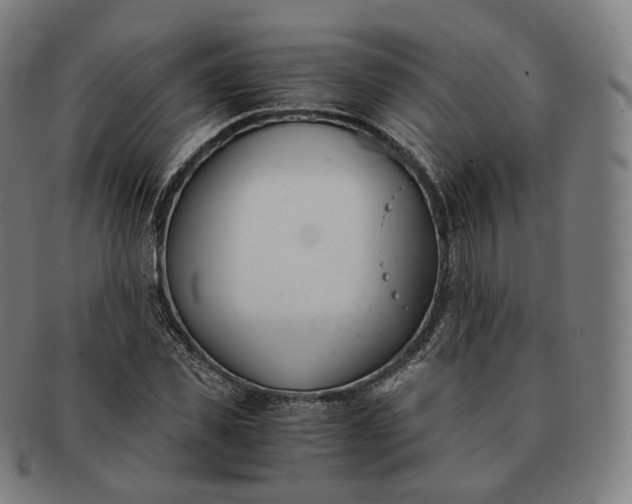 X0000091300925200708241047